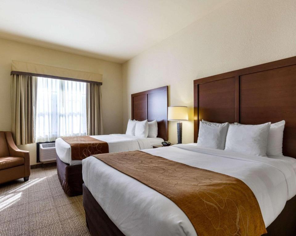 Comfort Suites Near Nasa - Clear Lake Webster Exteriér fotografie
