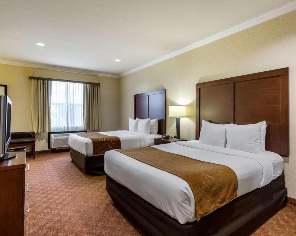 Comfort Suites Near Nasa - Clear Lake Webster Exteriér fotografie