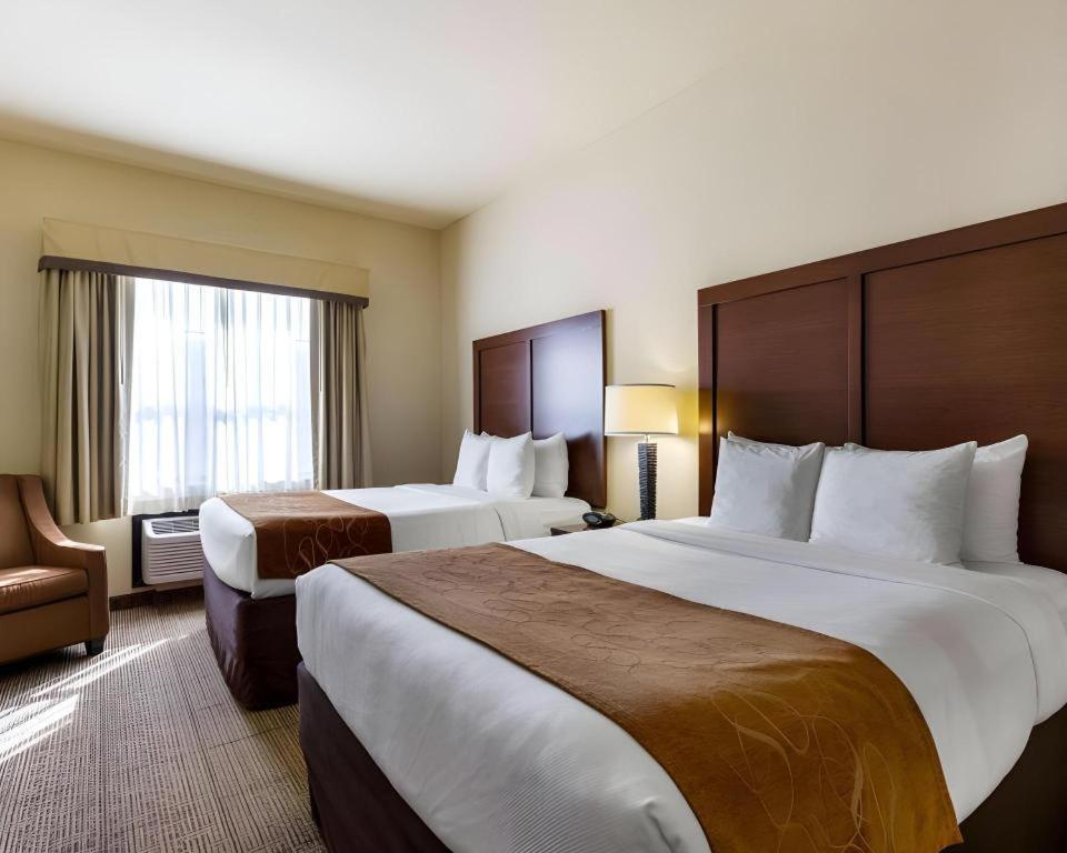 Comfort Suites Near Nasa - Clear Lake Webster Exteriér fotografie