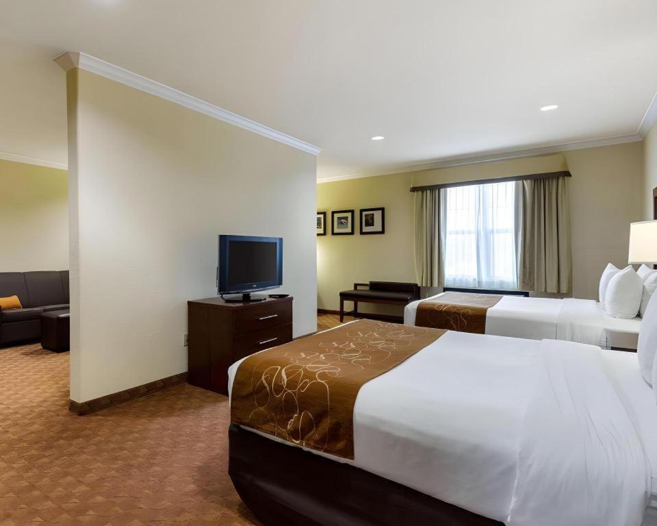 Comfort Suites Near Nasa - Clear Lake Webster Exteriér fotografie