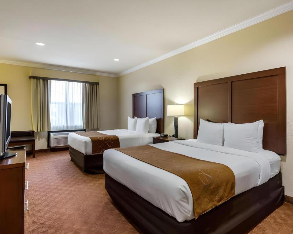 Comfort Suites Near Nasa - Clear Lake Webster Exteriér fotografie