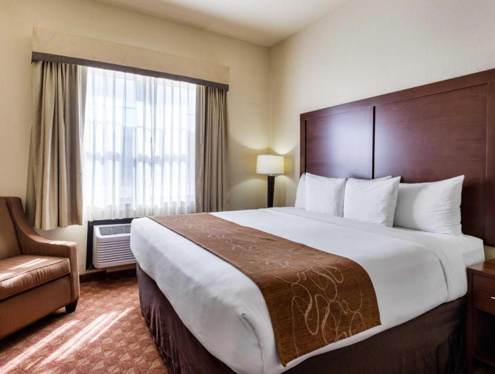 Comfort Suites Near Nasa - Clear Lake Webster Exteriér fotografie