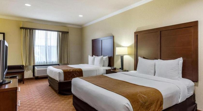 Comfort Suites Near Nasa - Clear Lake Webster Exteriér fotografie